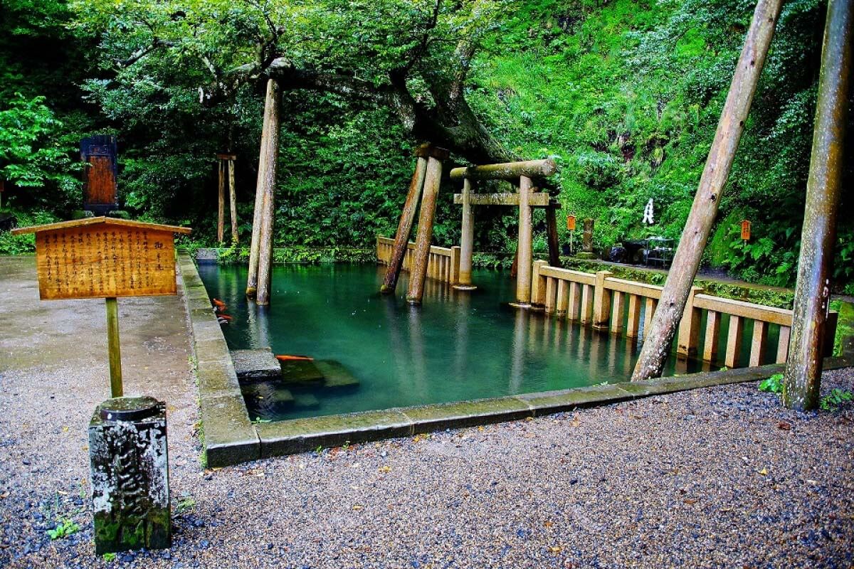 鹿島神宮の御手洗池　湧き水